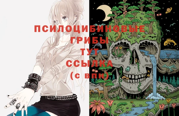 прущие грибы Алексеевка
