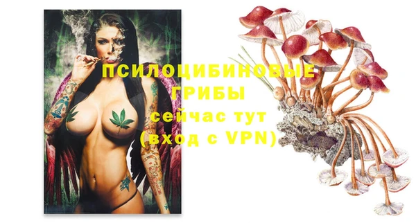 прущие грибы Алексеевка