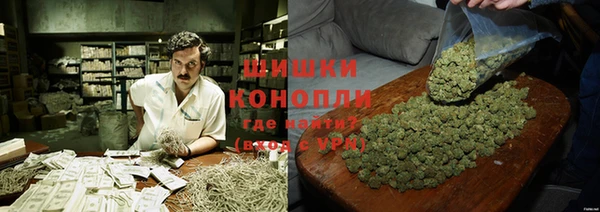 прущие грибы Алексеевка
